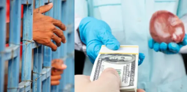 Stop the Silence: Ban CCP Organ Harvesting
