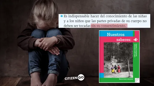 No al blanqueamiento de la pederastia en las escuelas