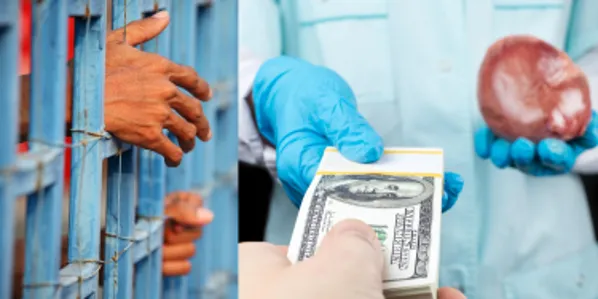 Stop the Silence: Ban CCP Organ Harvesting