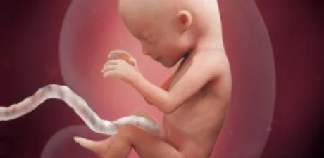Ask the Mississippi legislature to ban abortion after 15 weeks!