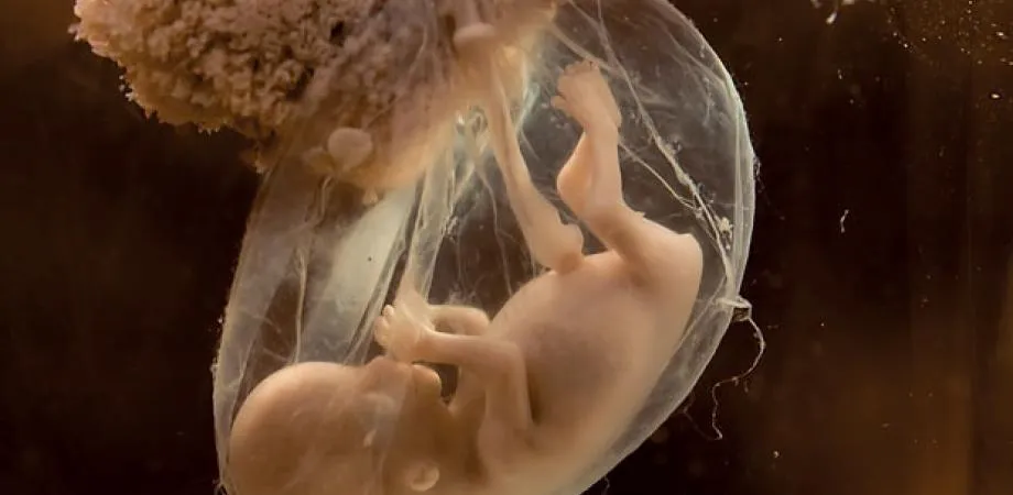 British judge orders mother to have abortion against her will