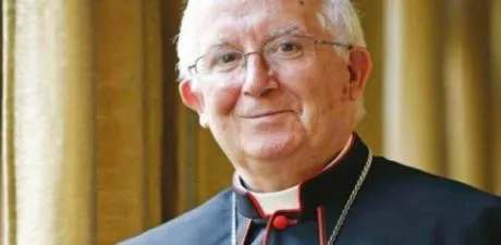 Radical leftists want to criminalize a Cardinal… for Christian statements? 